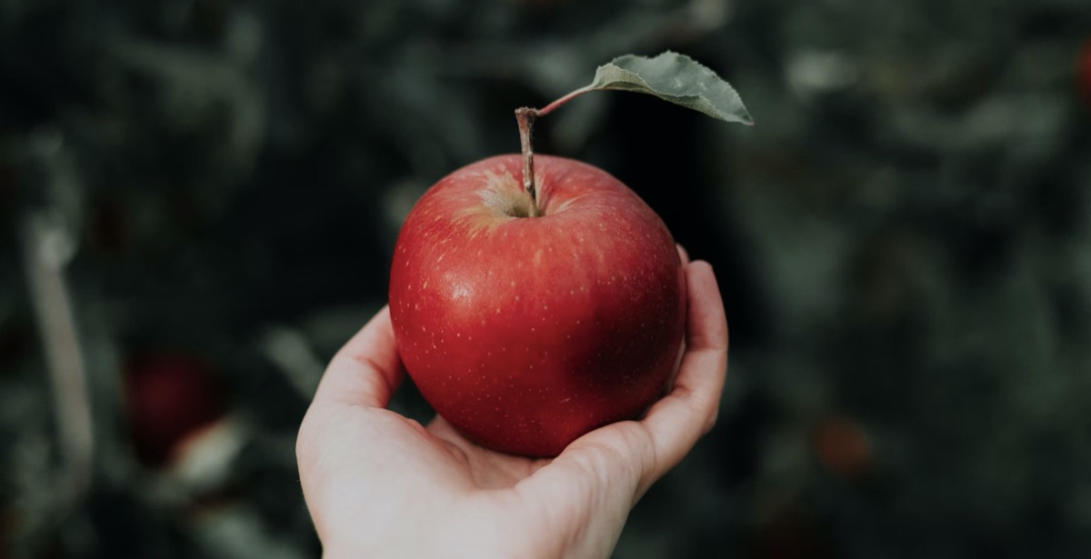 Person holding an apple 