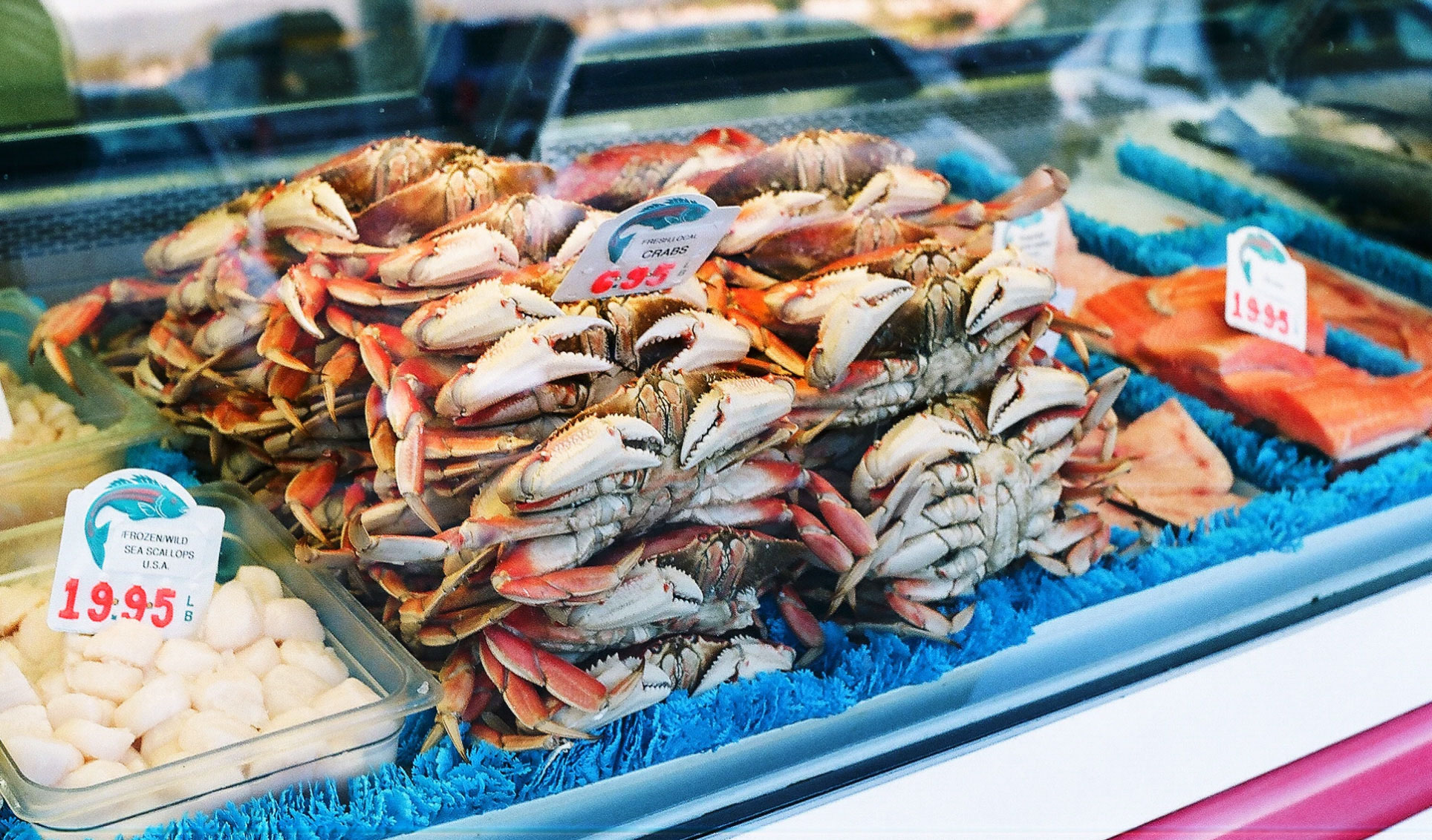 Seafood market with crabs salmon scallops and other fish 